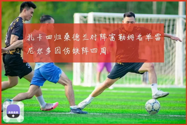 扎卡回归桑德兰对阵富勒姆名单雷尼尔多因伤缺阵四周